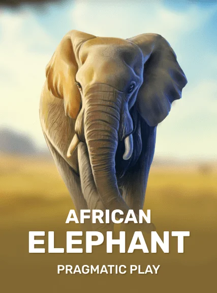 African Elephant